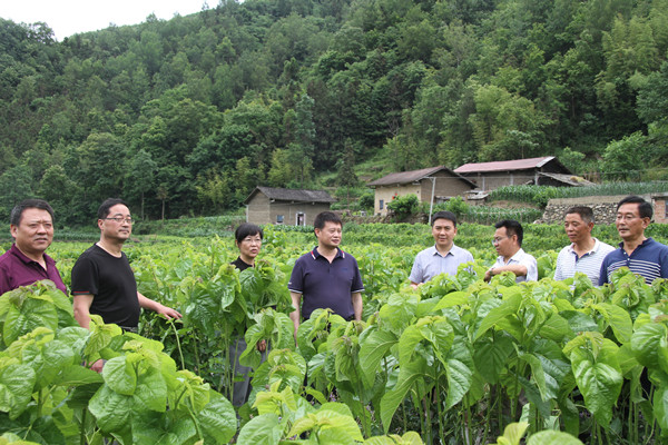 安康市商務(wù)局領(lǐng)導(dǎo)來我公司調(diào)研春蠶收購及扶貧點(diǎn)蠶?；亟ㄔO(shè)情況